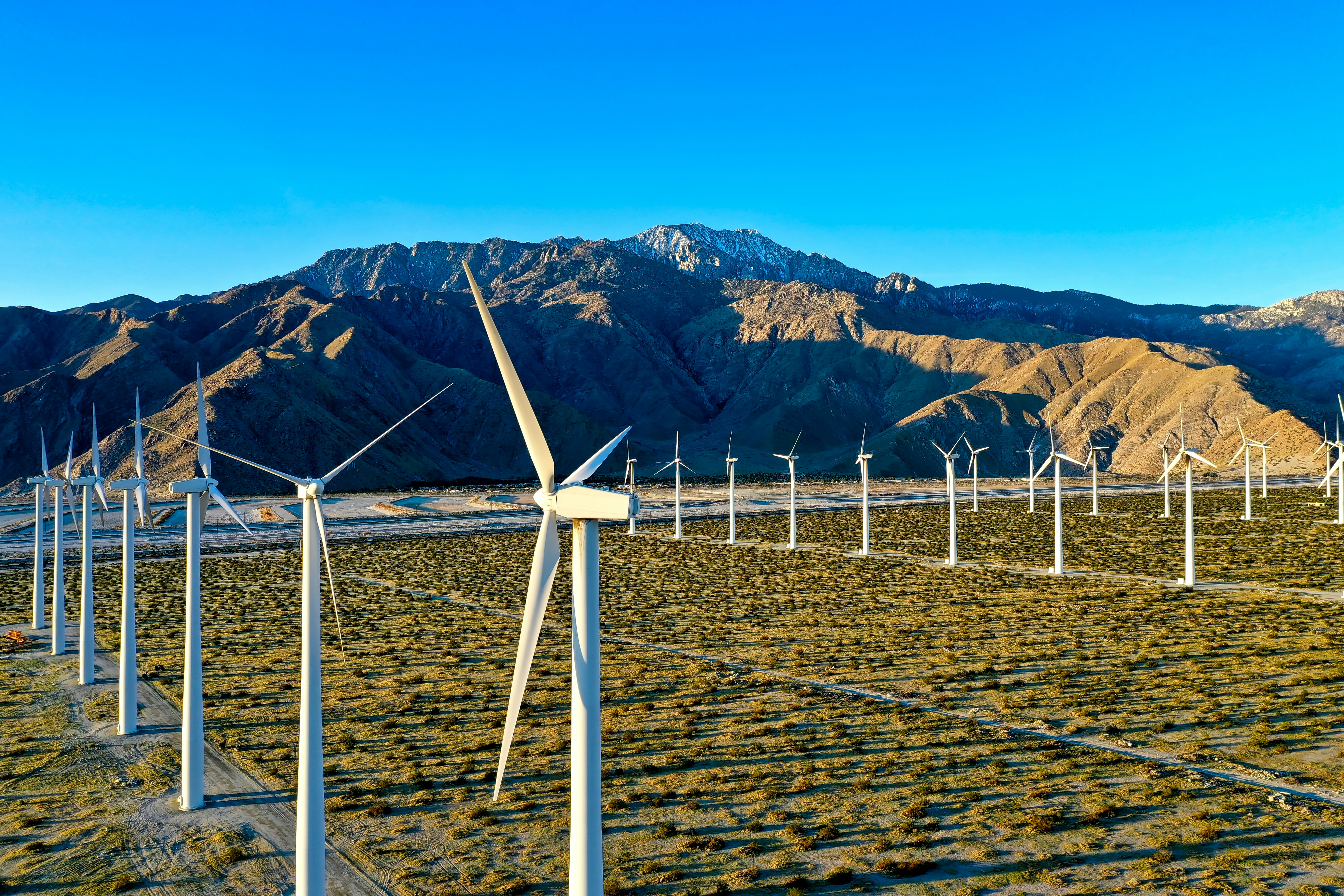 Wind Power Farm